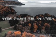 99图库-分布统计-手册，9918的图片